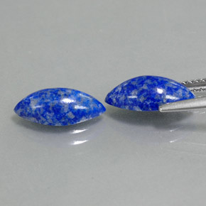 Achetez naturel ct bleue lapis-lazuli gems, marquise, en provenance afghanistan chez gemselect. en stock, livraison internationale!