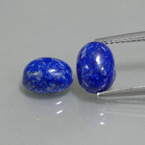 Achetez naturel ct bleue lapis-lazuli gems, coupe ovale, en provenance afghanistan chez gemselect. en stock, livraison internationale!