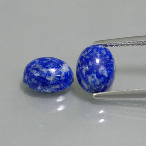 Achetez naturel ct bleue lapis-lazuli gems, coupe ovale, en provenance afghanistan chez gemselect. en stock, livraison internationale!