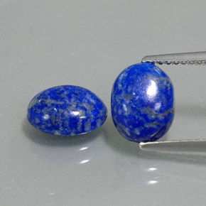 Achetez naturel ct bleue lapis-lazuli gems, coupe ovale, en provenance afghanistan chez gemselect. en stock, livraison internationale!
