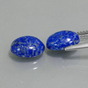 Achetez naturel ct bleue lapis-lazuli gems, coupe ovale, en provenance afghanistan chez gemselect. en stock, livraison internationale!