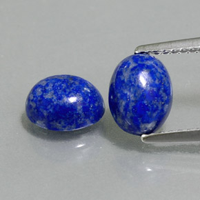Achetez naturel ct bleue lapis-lazuli gems, coupe ovale, en provenance afghanistan chez gemselect. en stock, livraison internationale!