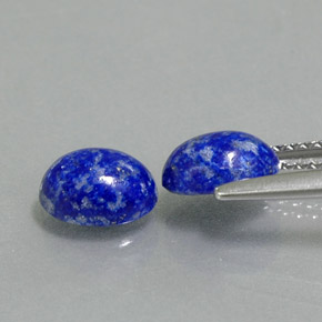 Achetez naturel ct bleue lapis-lazuli gems, coupe ovale, en provenance afghanistan chez gemselect. en stock, livraison internationale!