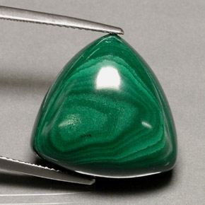 Malachite vert naturelle trillion, 34,16 ct, opaque