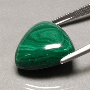 Malachite vert naturelle trillion, 34,16 ct, opaque