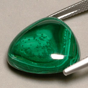 Malachite vert naturelle trillion, 22,53 ct, opaque