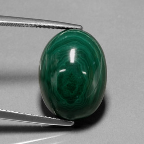 Malachite vert naturelle coupe ovale, 22,99 ct, opaque