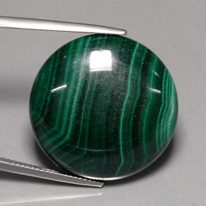 Malachite vert naturelle coupe roude, 42,90 ct, opaque