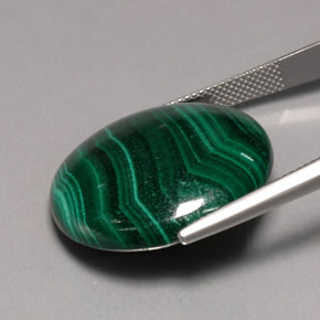 Malachite vert naturelle coupe roude, 42,90 ct, opaque