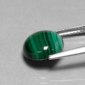 Malachite Vert multicolore naturelle Coupe roude, 4.34 ct, Opaque