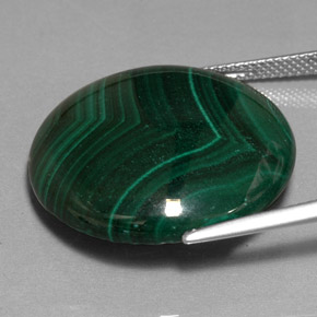 Malachite Vert multicolore naturelle Coupe roude, 41.40 ct, Opaque