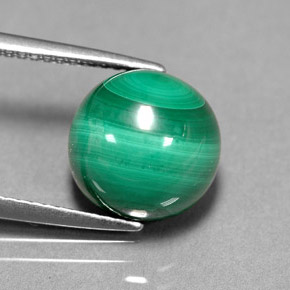 Malachite vert naturelle coupe roude, 7,38 ct, opaque