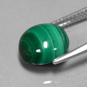 Malachite vert naturelle coupe roude, 5,23 ct, opaque