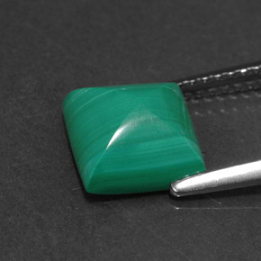 Malachite vert naturelle carré, 3,31 ct, opaque