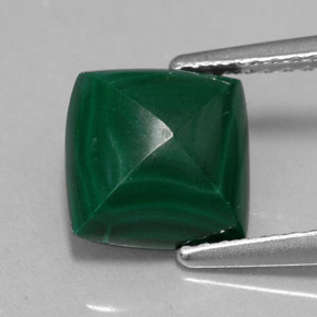 Malachite vert naturelle carré, 2,91 ct, opaque