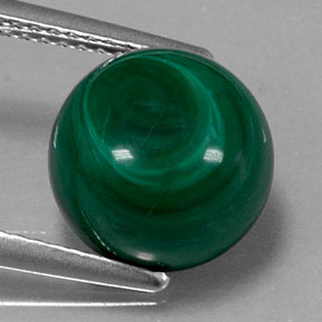 Malachite Vert multicolore naturelle Coupe roude, 7.00 ct, Opaque