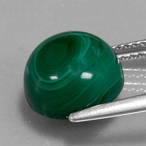 Malachite Vert multicolore naturelle Coupe roude, 7.00 ct, Opaque