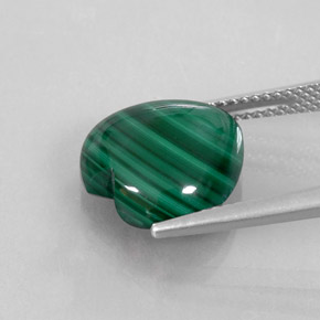 Malachite vert naturelle forme de coeur, 8,74 ct, opaque