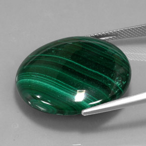 Malachite vert naturelle coupe roude, 38,87 ct, opaque