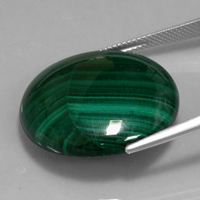 Malachite vert naturelle coupe roude, 39,62 ct, opaque