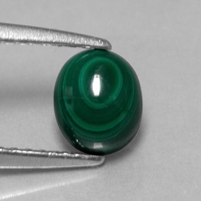 Malachite vert naturelle coupe ovale, 1,51 ct, opaque