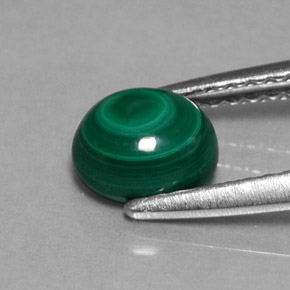 Malachite Vert multicolore naturelle Coupe ovale, 1.22 ct, Opaque