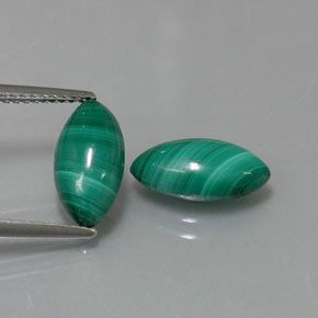 Achetez naturel ct vert malachite gems, marquise, en provenance congo chez gemselect. en stock, livraison internationale!