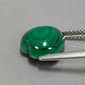 Malachite vert naturelle forme de coeur, 5,04 ct, opaque
