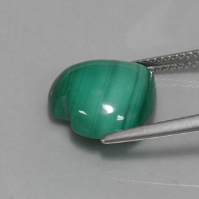 Malachite vert naturelle forme de coeur, 7,84 ct, opaque