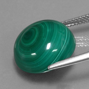 Malachite vert naturelle coupe roude, 15,44 ct, opaque