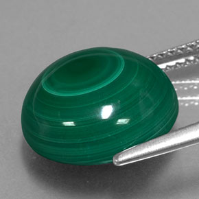 Malachite vert naturelle coupe roude, 11,74 ct, opaque
