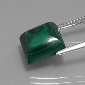 Malachite vert naturelle carré, 10,66 ct, opaque