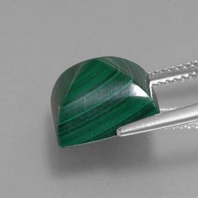 Malachite vert naturelle carré, 10,59 ct, opaque