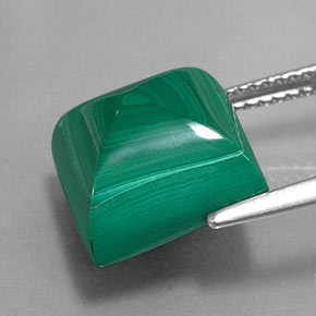 Malachite vert naturelle carré, 11,21 ct, opaque