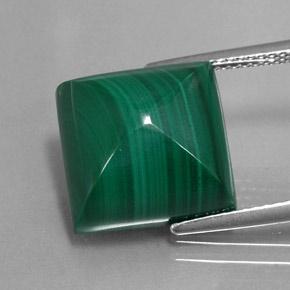 Malachite vert naturelle carré, 15,43 ct, opaque