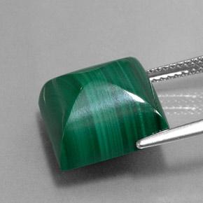 Malachite vert naturelle carré, 15,43 ct, opaque