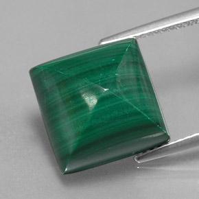 Malachite vert naturelle carré, 15,78 ct, opaque