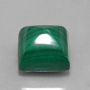 Malachite vert naturelle carré, 15,78 ct, opaque