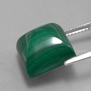 Malachite vert naturelle carré, 15,78 ct, opaque