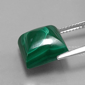Malachite vert naturelle carré, 11,07 ct, opaque