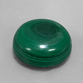 Malachite vert naturelle coupe roude, 16,58 ct, opaque