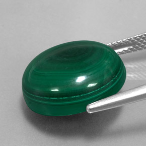 Malachite vert naturelle coupe roude, 16,58 ct, opaque