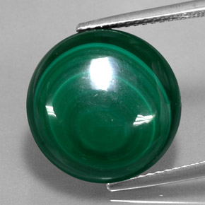 Malachite vert naturelle coupe roude, 15,28 ct, opaque