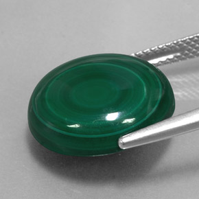 Malachite vert naturelle coupe roude, 15,28 ct, opaque