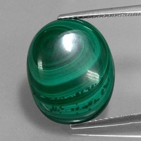 Malachite vert naturelle coupe ovale, 16,61 ct, opaque
