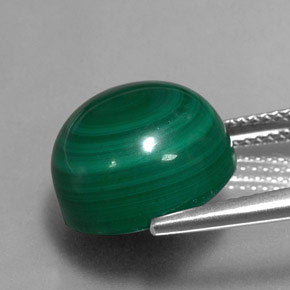Malachite vert naturelle coupe roude, 15,62 ct, opaque
