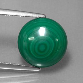 Malachite vert naturelle coupe roude, 7,16 ct, opaque