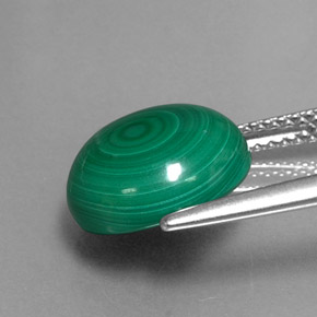 Malachite vert naturelle coupe roude, 7,16 ct, opaque