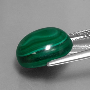 Malachite vert naturelle coupe roude, 9,24 ct, opaque