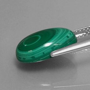 Malachite vert naturelle coupe ovale, 6,72 ct, opaque